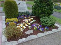Blumen Krumme: Grabpflege
